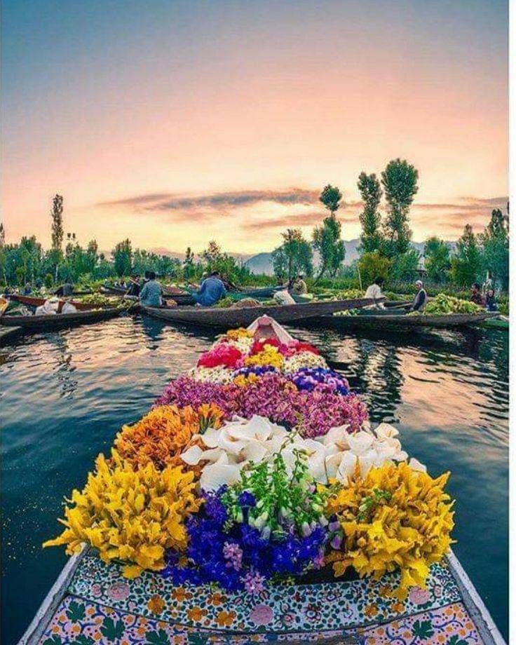 Dal Lake